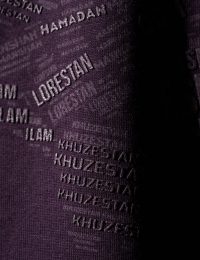 تیشرت مردانه یقه گرد ایران - تصویر 3