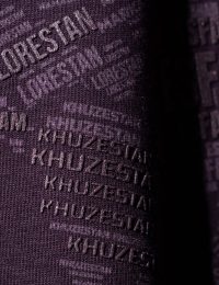 تیشرت مردانه یقه گرد ایران - تصویر 4