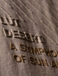 تیشرت مردانه یقه گرد کویر - تصویر 2