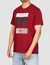 تیشرت مردانه یقه گرد هیمن