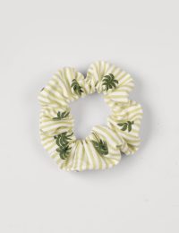 کش مو درخت نخل