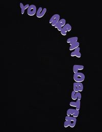 تیشرت مردانه چاپدار خرچنگ - تصویر 3